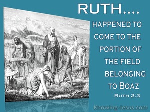 Ruth 2:3